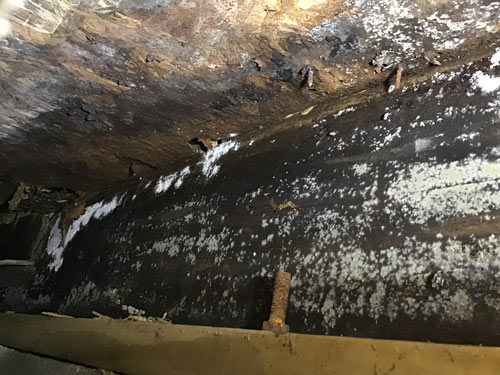 Extesnive basement mold growth caused by water seepage